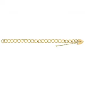 9ct Yellow Gold Ladies Charm Bracelet BR108