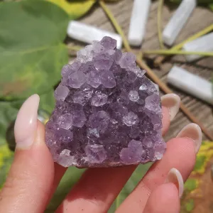 Amethyst Cluster (#5a)