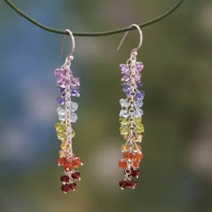 Joyous Life Multi-Gem Garnet & Silver Beaded Earrings