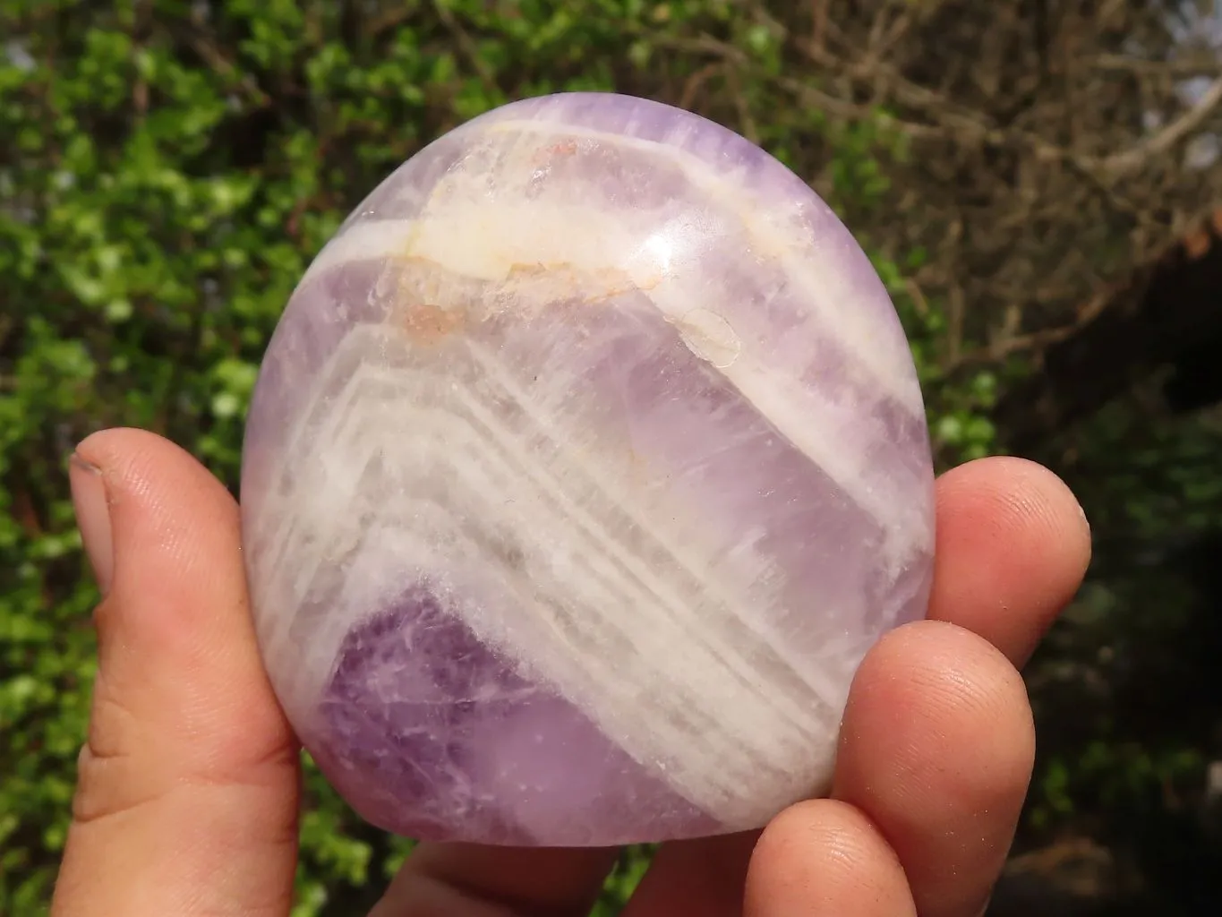 Polished Amethyst Standing Free Forms x 6 From Madagascar