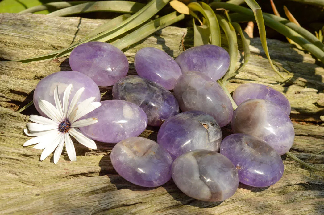 Polished Gemmy Amethyst Galet - Palm Stones x 20 From Madagascar